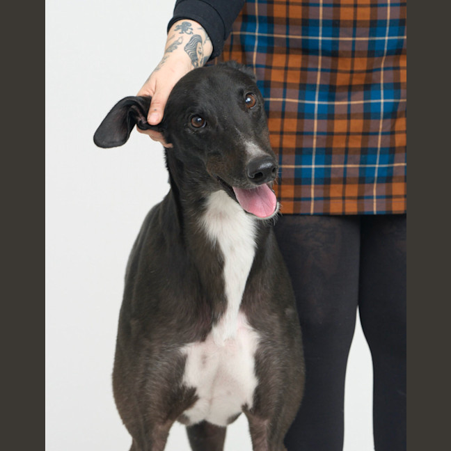 Photo of Elliot