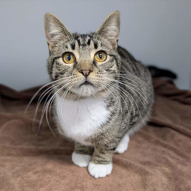 Photo of Missy
