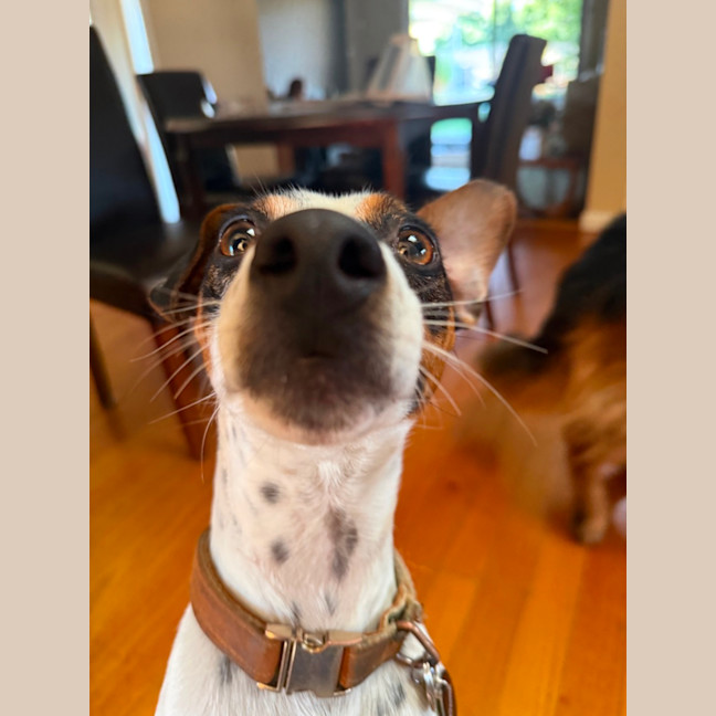 Photo of Bobby 