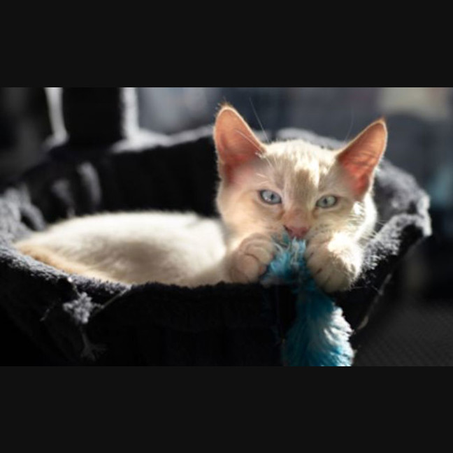 Photo of Oli