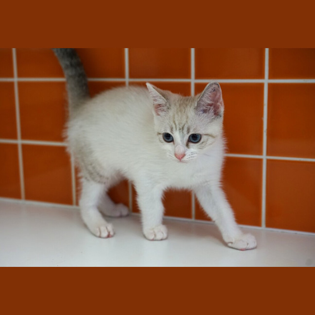 Photo of Annie