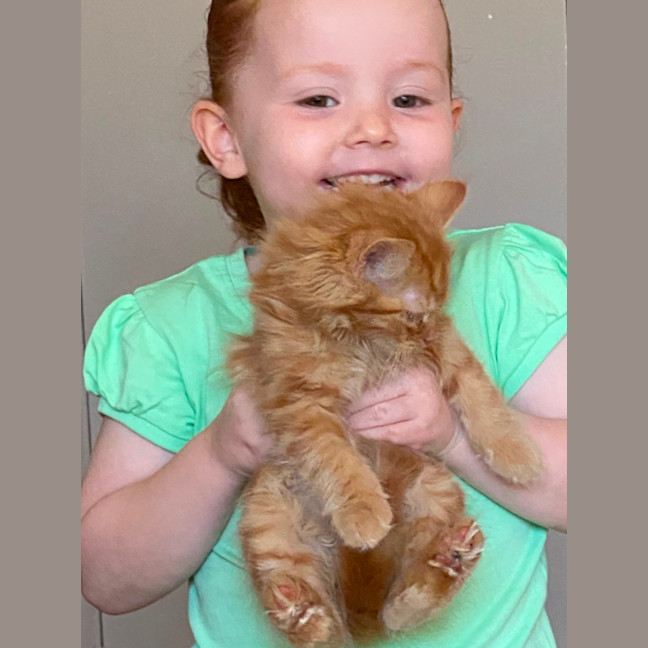 Photo of Oliver. Meet Me At Pet Stock Chelsea