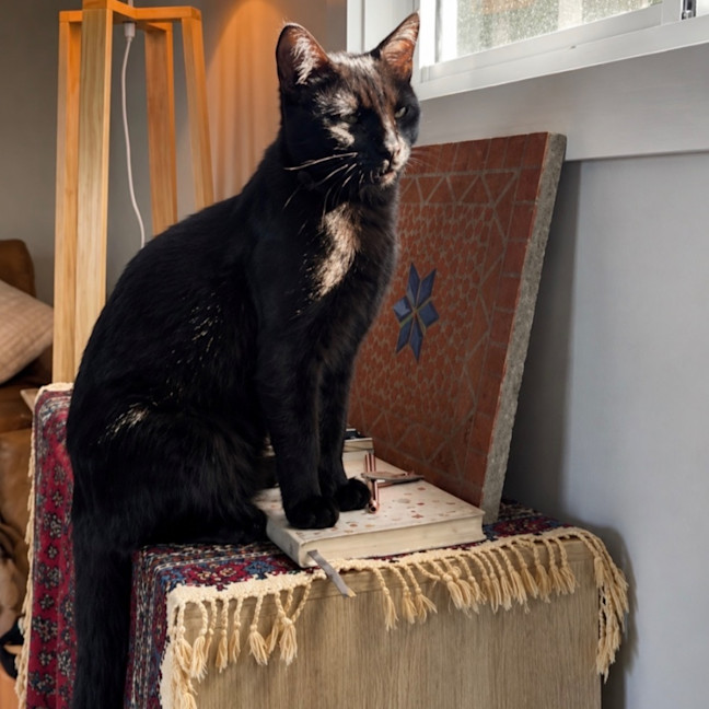 Photo of Jaggar