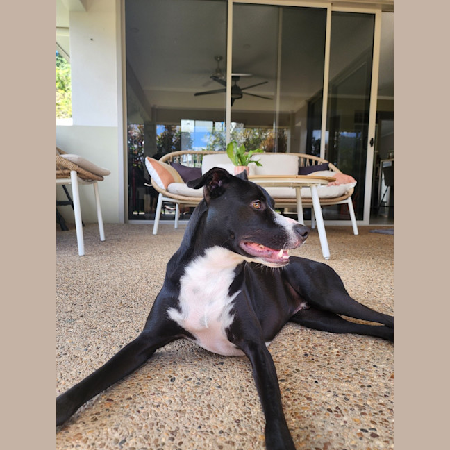 Photo of Jasper