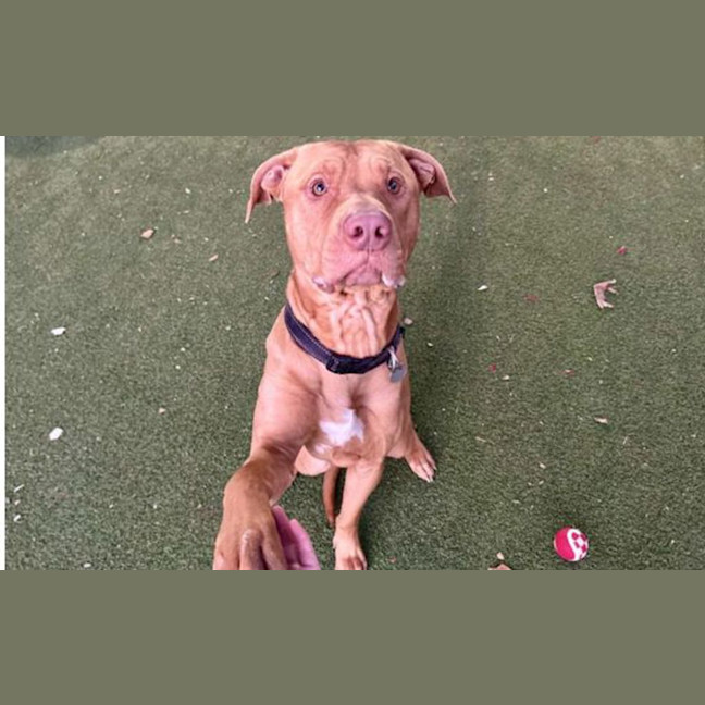 Photo of Tookie 