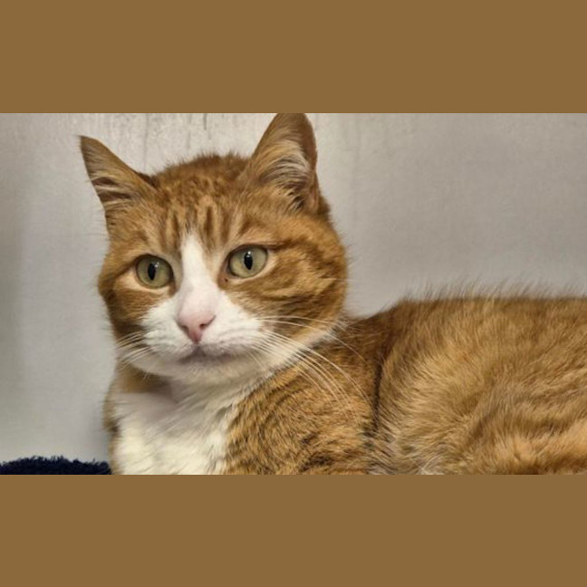 Photo of Ernie