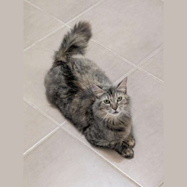 Photo of Queenie♥️