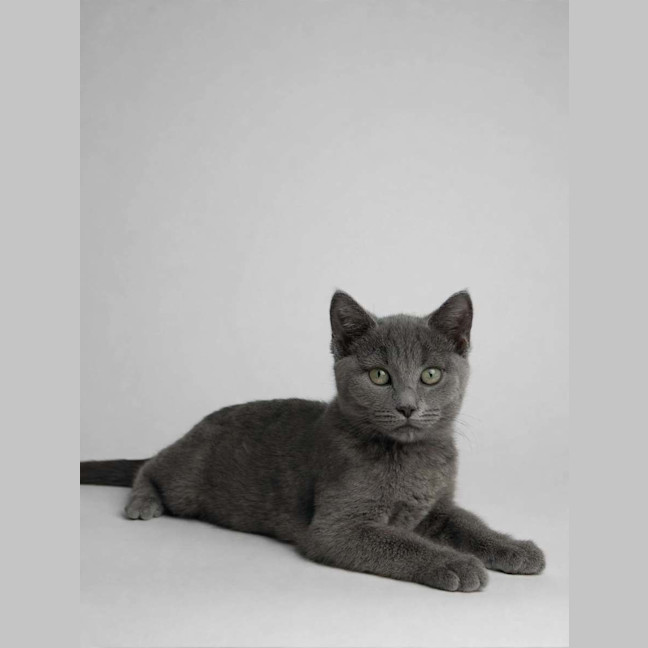 Photo of Stanley