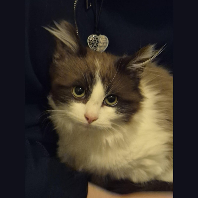 Photo of Luca