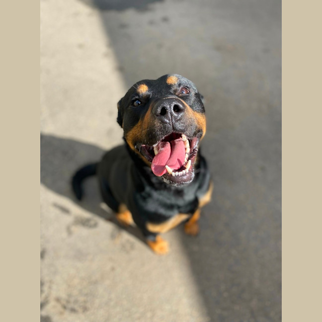 Photo of Denny