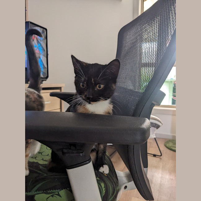 Photo of Miss Marple