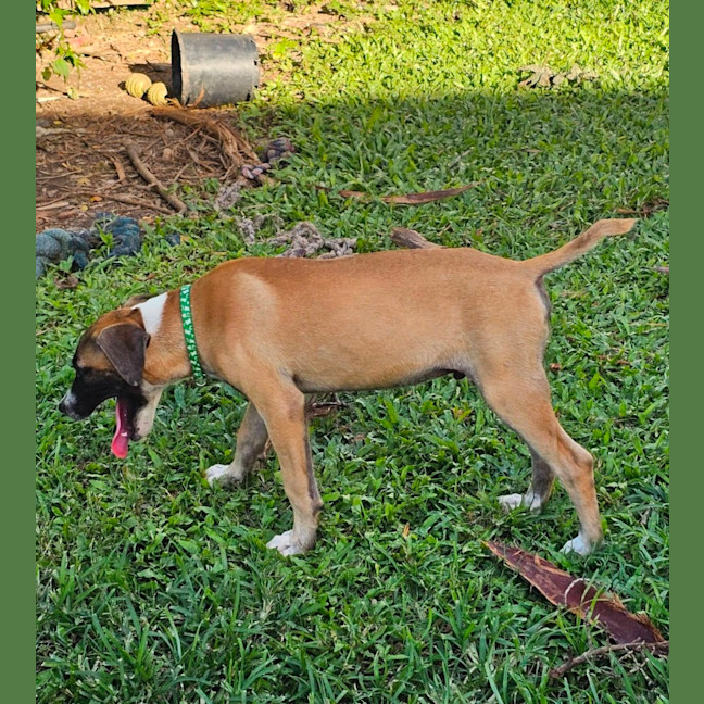 Photo of Eli