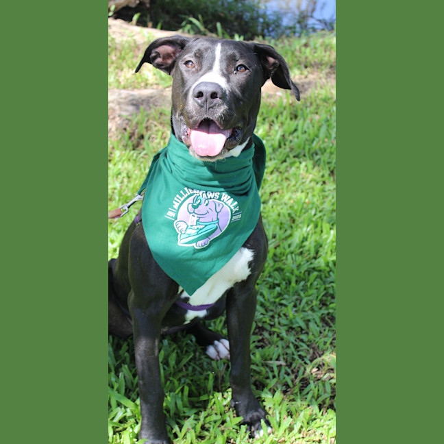 Photo of Sugar