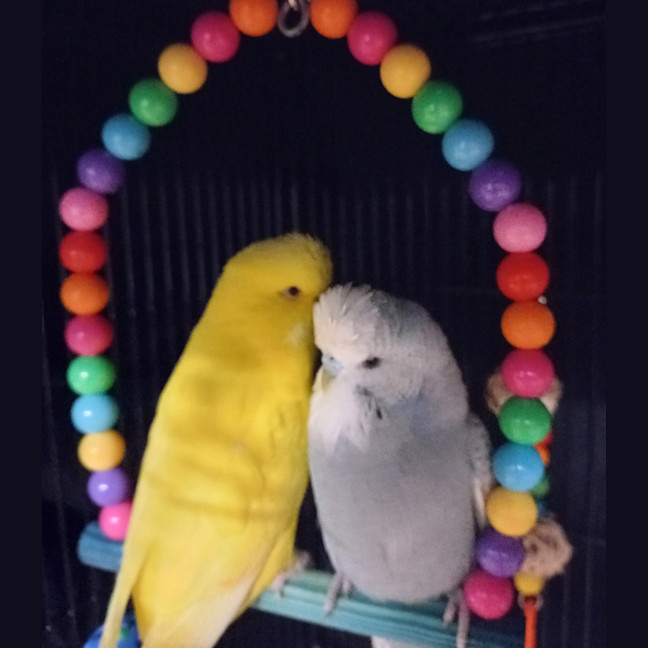Photo of Storm