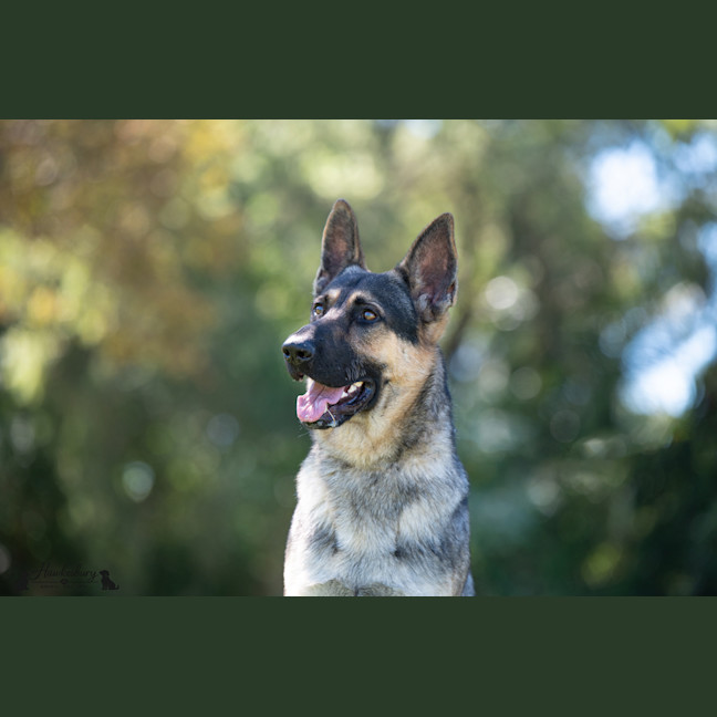 Photo of Storm