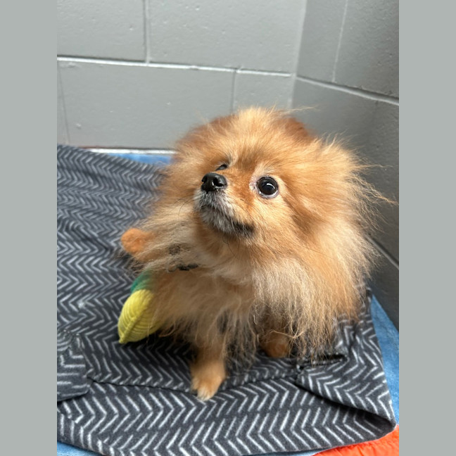 Photo of Max