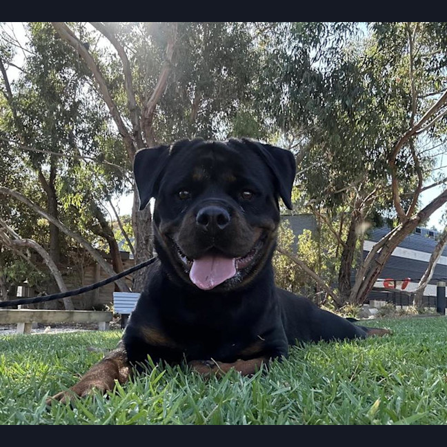Photo of Mara