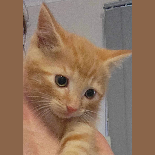 Photo of Miss Garfield 