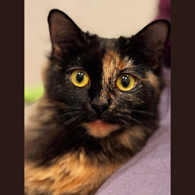 Photo of Ruby