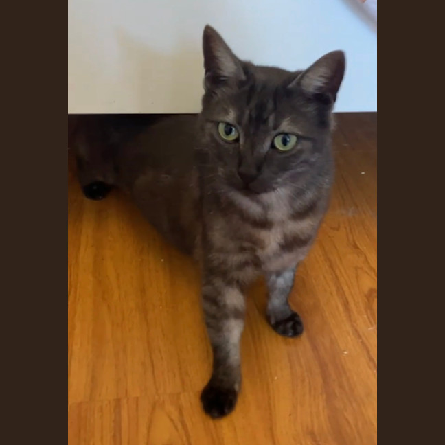 Photo of Alice