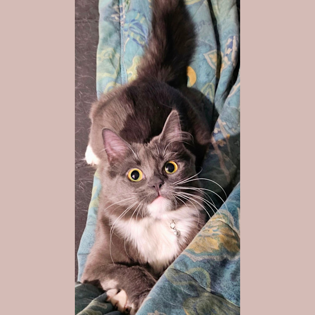 Photo of Sylvia