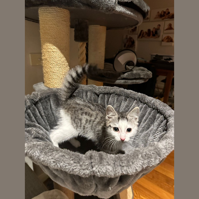 Photo of Moxie
