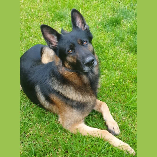 Photo of Mack