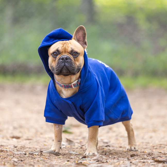 Photo of Tank