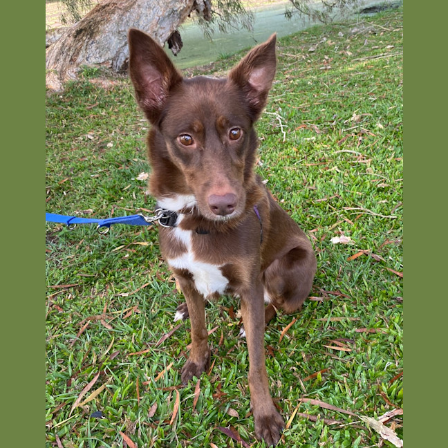 Photo of Maggie