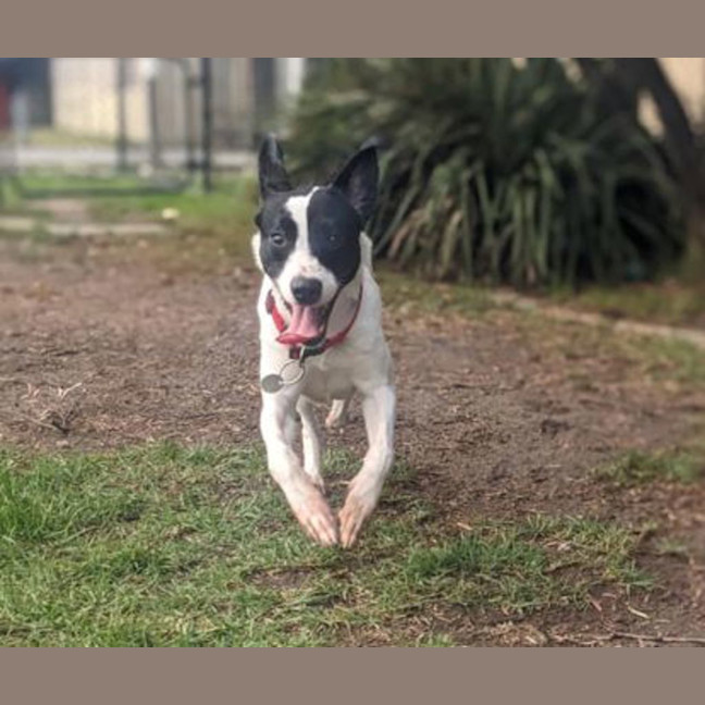 Photo of Aston Martin