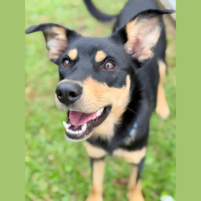 Photo of Kaia