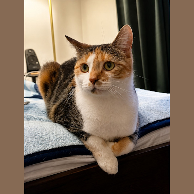 Photo of Cindy Clawford
