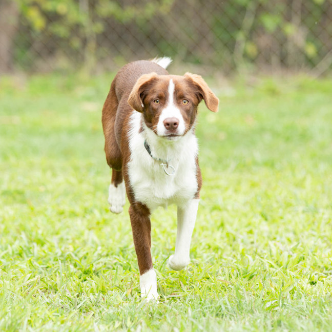Photo of Jessie