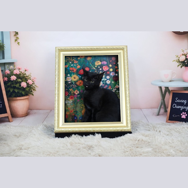 Photo of Wilma
