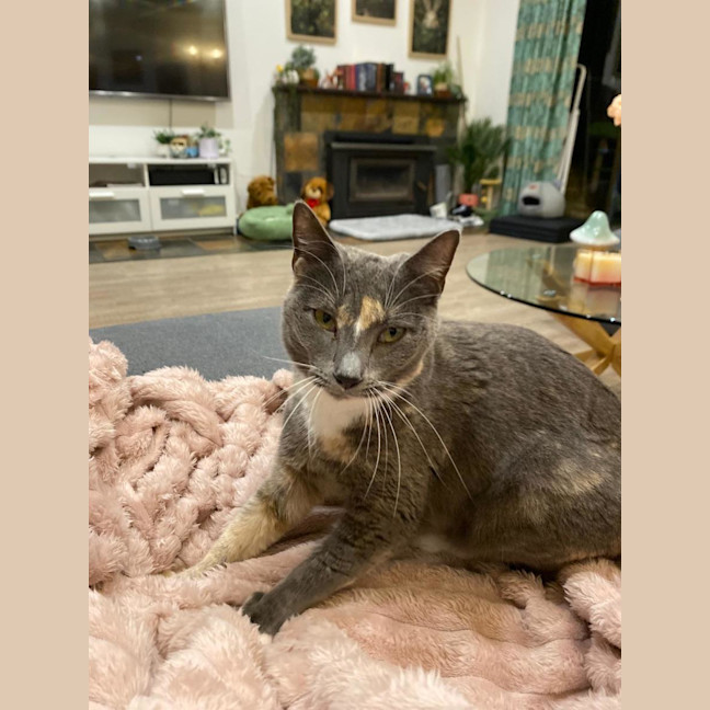 Photo of Pippa