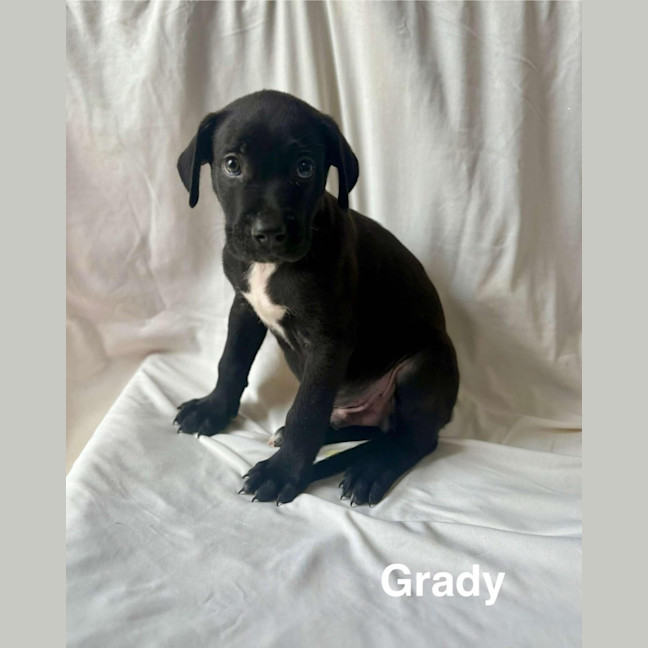 Photo of Grady