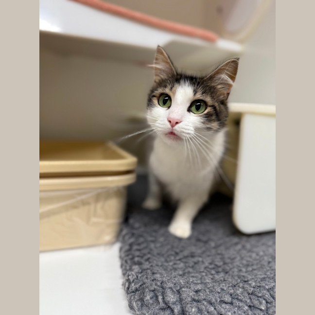 Photo of 🕶️ Ruth 6779 🕶️