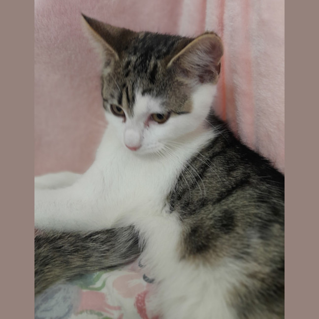 Photo of Ky (George)