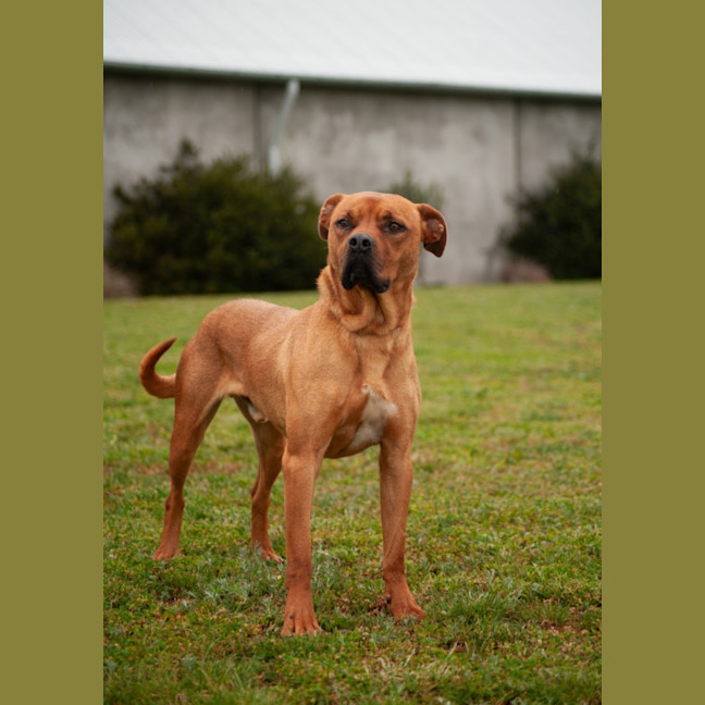 Photo of Tucker