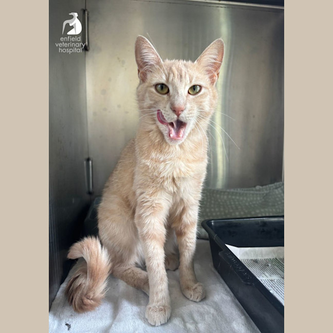 Photo of Happy Heidi