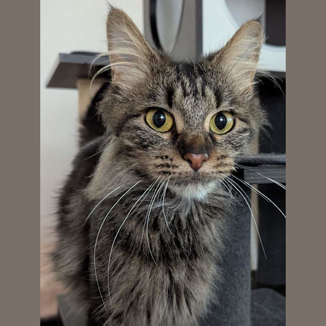 Photo of Poppy