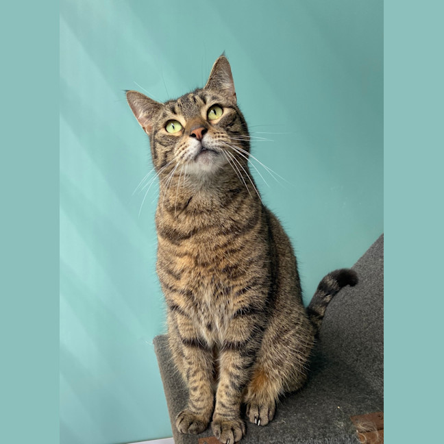 Photo of Athena