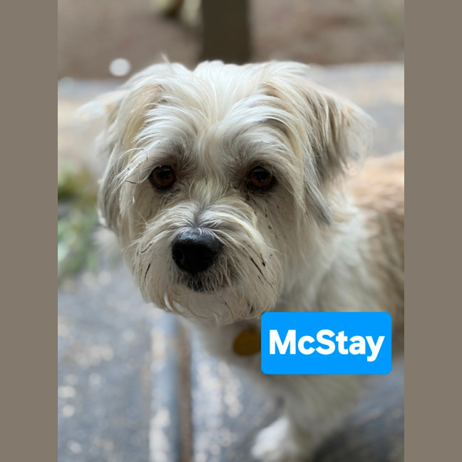 Photo of Mc Stay & Lipinski