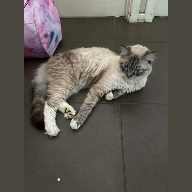 Photo of Sailor