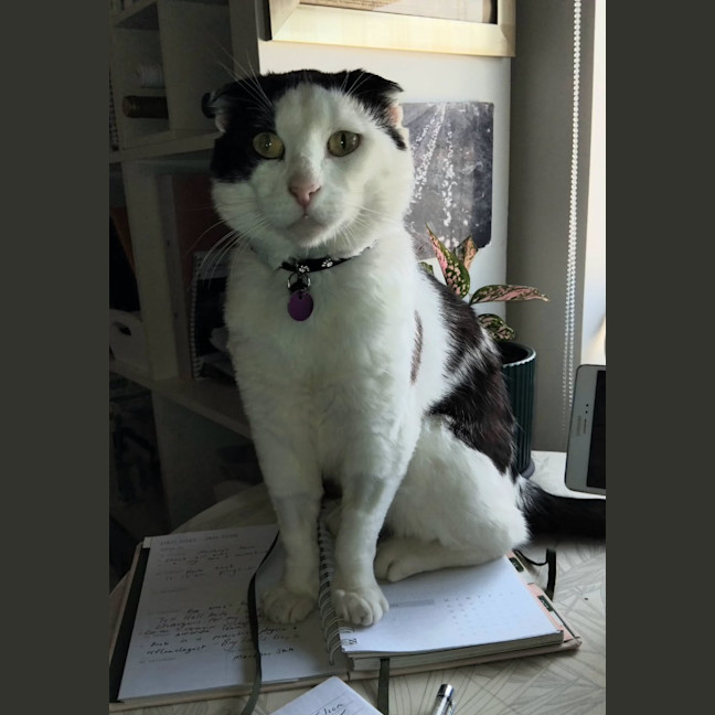 Photo of Lenny