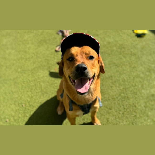 Photo of Clifford