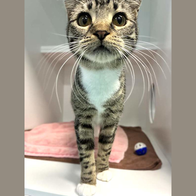Photo of Missy