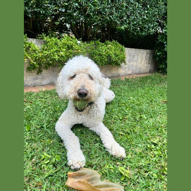 Photo of George And Bobby