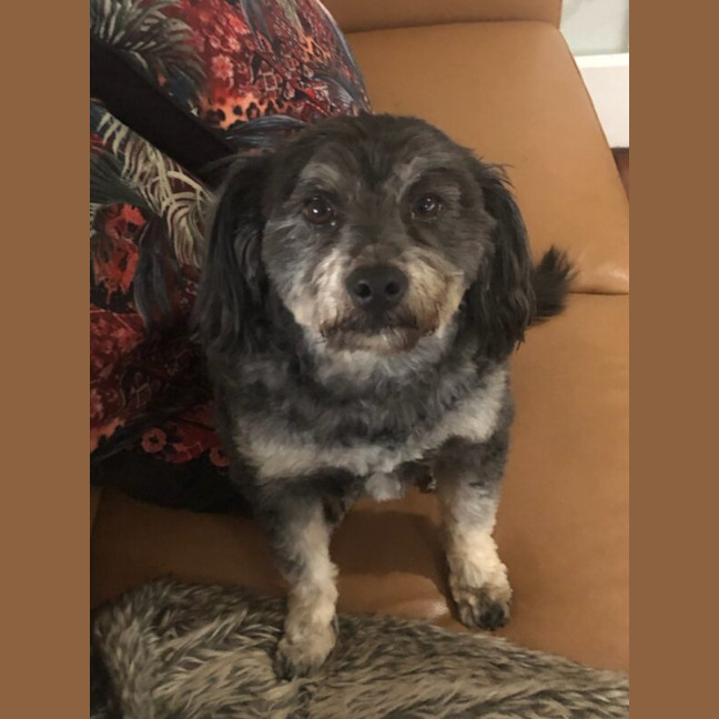 Photo of Nellie