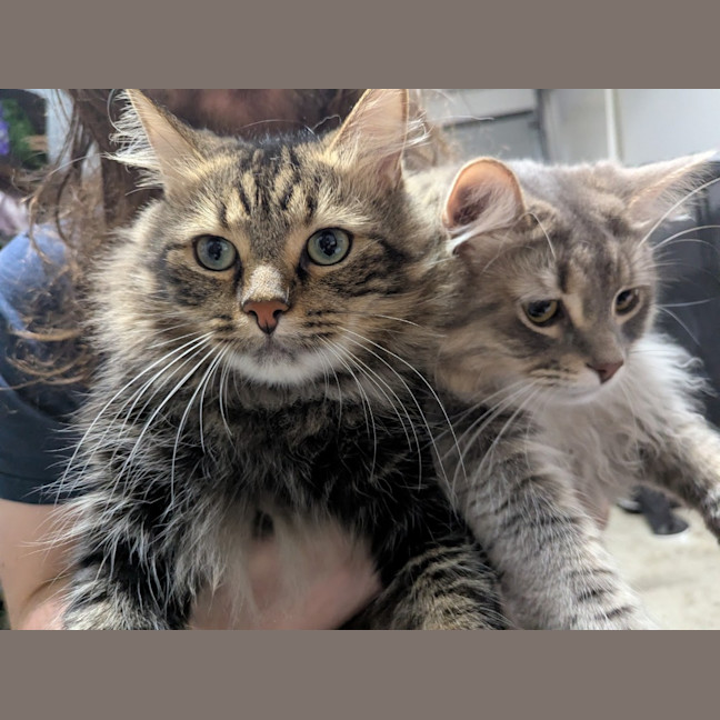 Photo of Wax & Wayne